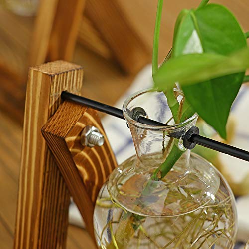 Vanze Desktop Hydroponic Plant Terrarium Planter Bulb Glass Vase P...