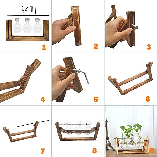 Vanze Desktop Hydroponic Plant Terrarium Planter Bulb Glass Vase P...