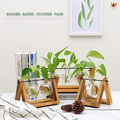 Vanze Desktop Hydroponic Plant Terrarium Planter Bulb Glass Vase P...