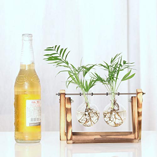 Vanze Desktop Hydroponic Plant Terrarium Planter Bulb Glass Vase P...