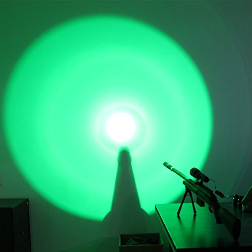 VASTFIRE 150 yard Green Flashlight Hog Pig Varmint Predator Boar N...