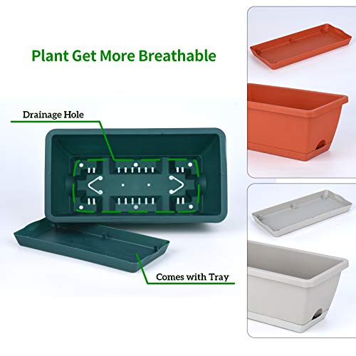 3 Packs Window Box Planter, 14 inches Plastic Flower Vegetable Pla...