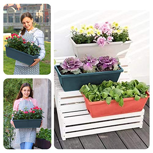 3 Packs Window Box Planter, 14 inches Plastic Flower Vegetable Pla...