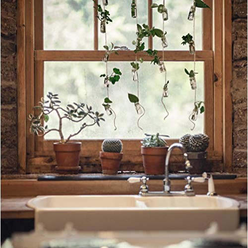 VBgree Wall Hanging Glass Planter - Rustic Glass Wall Plant Holder...