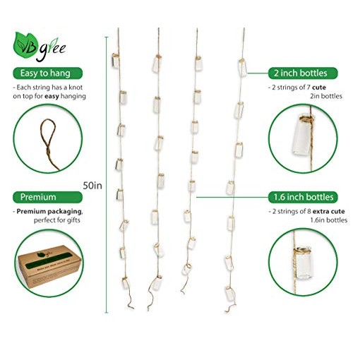 VBgree Wall Hanging Glass Planter - Rustic Glass Wall Plant Holder...