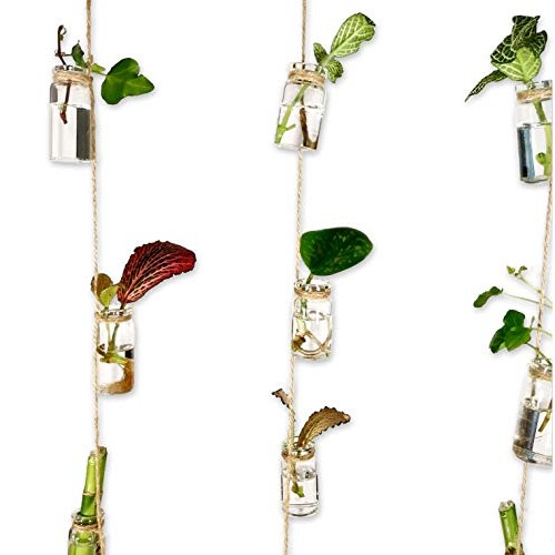 VBgree Wall Hanging Glass Planter - Rustic Glass Wall Plant Holder...