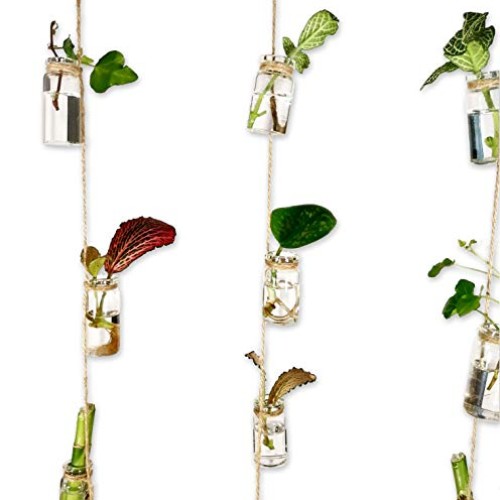 VBgree Wall Hanging Glass Planter - Rustic Glass Wall Plant Holder...