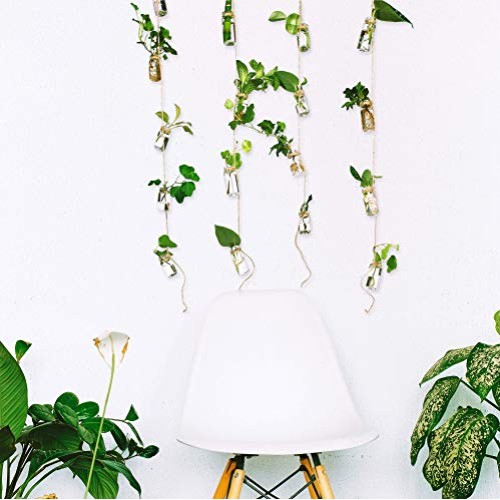 VBgree Wall Hanging Glass Planter - Rustic Glass Wall Plant Holder...