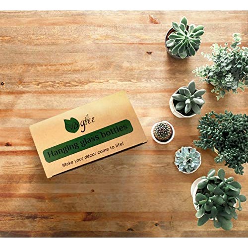 VBgree Wall Hanging Glass Planter - Rustic Glass Wall Plant Holder...