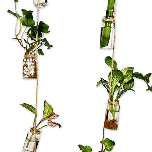 VBgree Wall Hanging Glass Planter - Rustic Glass Wall Plant Holder...