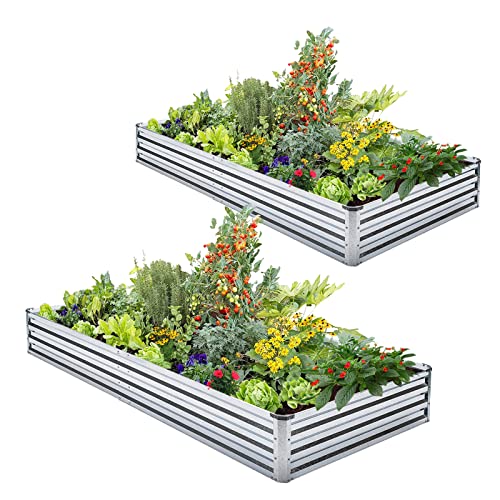 Veezyo Galvanized Raised Garden Bed Kit - Metal Raised Planter 2 P...