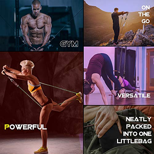 VEICK Resistance Bands Set,Workout Bands,Exercise Bands,5 Tube Fit...