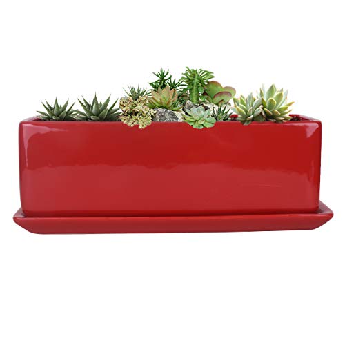 Vencer 12 Inch Modern Minimalist Ceramic Succulent Planter Pot - W...