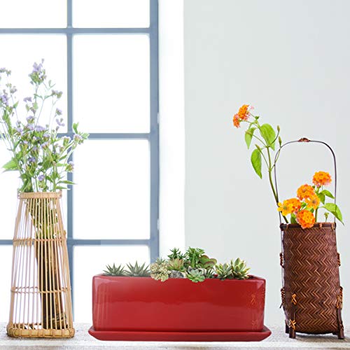 Vencer 12 Inch Modern Minimalist Ceramic Succulent Planter Pot - W...