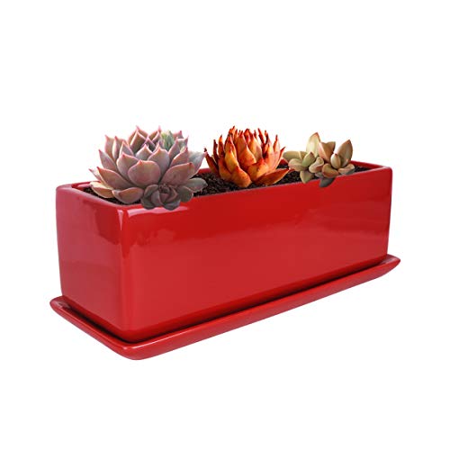 Vencer 12 Inch Modern Minimalist Ceramic Succulent Planter Pot - W...