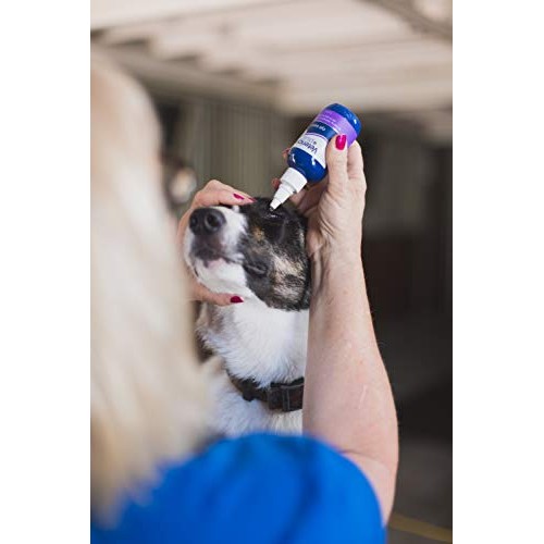 Vetericyn Plus All Animal Eye Wash. Pain-Free Solution for Abrasio...