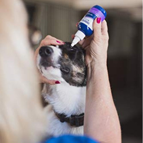 Vetericyn Plus All Animal Eye Wash. Pain-Free Solution for Abrasio...