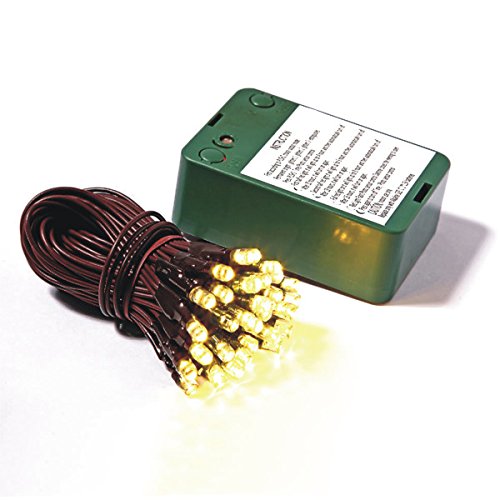 Vickerman 35-Light Battery Operated Wide Angle LED Warm White Brow...