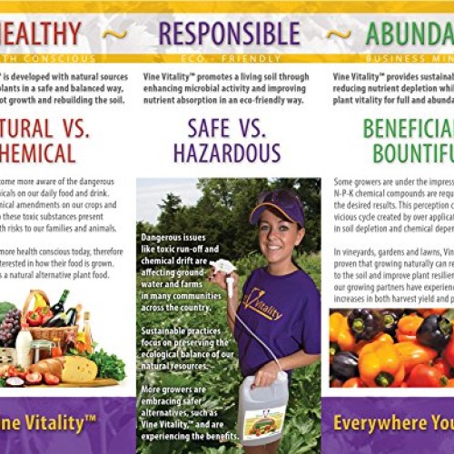 Vine Vitality All Purpose Fish & Kelp Liquid Fertilizer Concentrat...