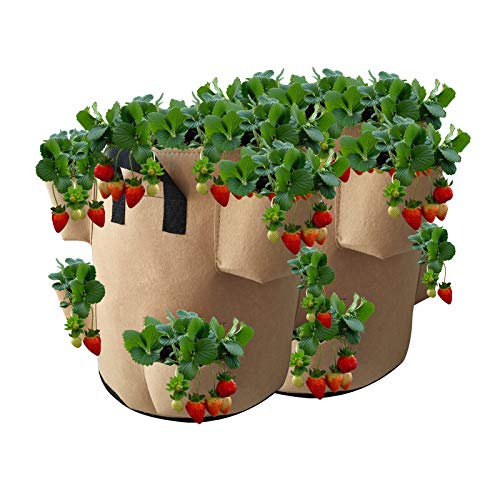 Vinyl Etchings Plant Grow Bag, 2 Pack Large Non-Woven Fabric Bag S...