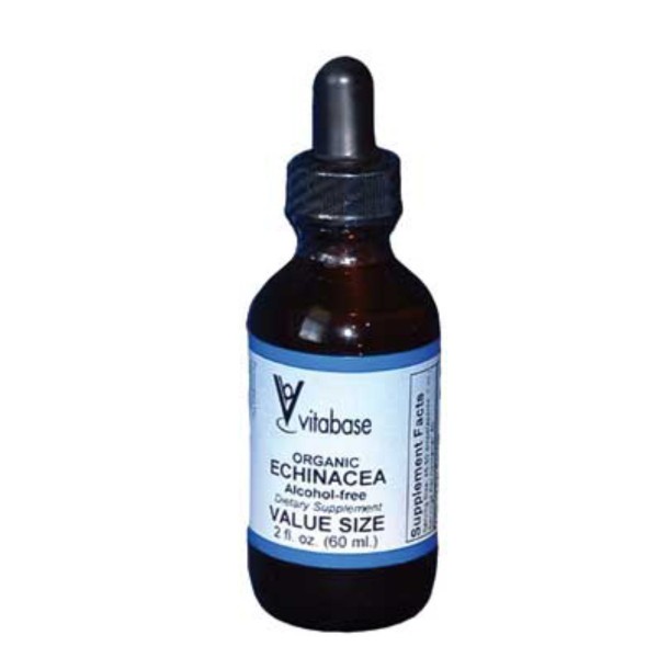 Vitabase Echinacea/Goldenseal Liquid – Alcohol Free