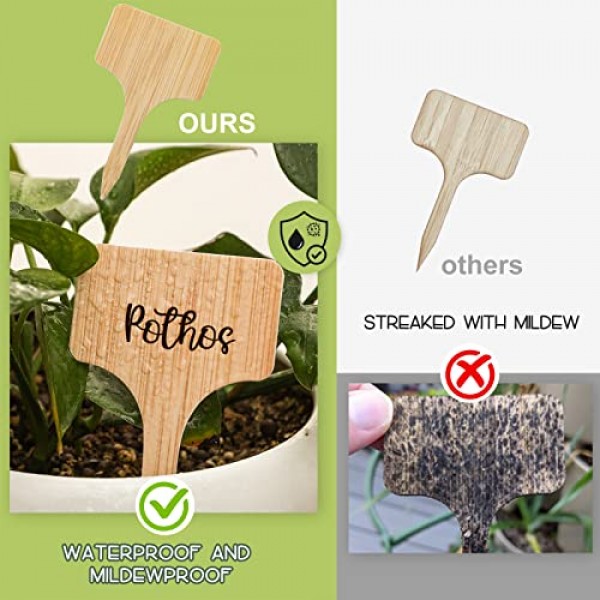 100pcs Plant Labels, Garden Plant Markers, Plastic T-Type Plant Ta...