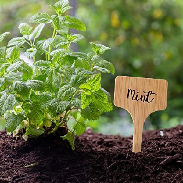 100pcs Plant Labels, Garden Plant Markers, Plastic T-Type Plant Ta...