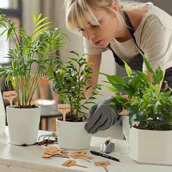 100pcs Plant Labels, Garden Plant Markers, Plastic T-Type Plant Ta...