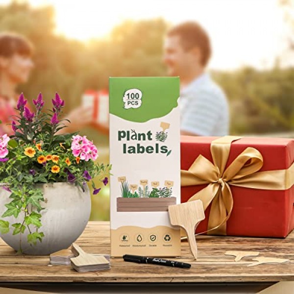100pcs Plant Labels, Garden Plant Markers, Plastic T-Type Plant Ta...