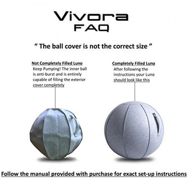 Vivora Luno - Sitting Ball Chair for Office, Dorm, and Home, Light...