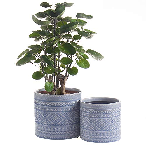 Voeveca Ceramic Flower Pot Garden Planters 4.5 and 5.5 Set of 2 ...
