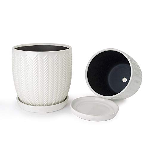 Voeveca Ceramic Flower Pot Garden Planters 6.5 and 5.5 Set of 2 ...