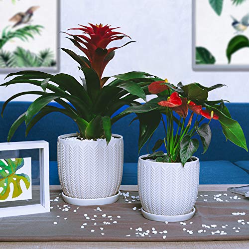 Voeveca Ceramic Flower Pot Garden Planters 6.5 and 5.5 Set of 2 ...