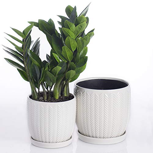 Voeveca Ceramic Flower Pot Garden Planters 6.5 and 5.5 Set of 2 ...