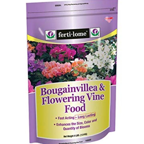 Bougainvillea food