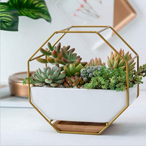 VOSAREA 1PC Octagonal Hanging Air Plant Pots Metal Iron Frame Wall...