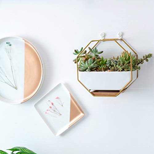 VOSAREA 1PC Octagonal Hanging Air Plant Pots Metal Iron Frame Wall...
