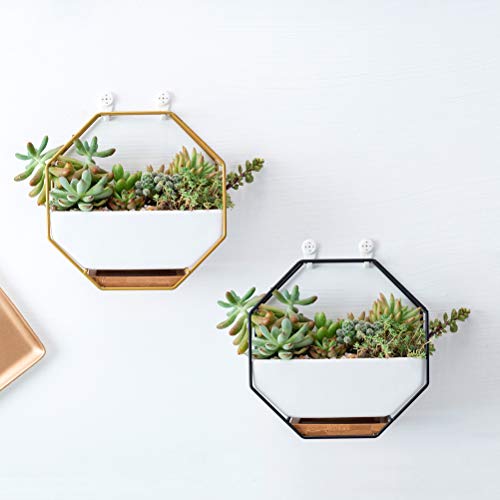 VOSAREA 1PC Octagonal Hanging Air Plant Pots Metal Iron Frame Wall...