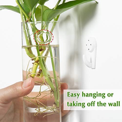 Vumdua Wall Hanging Planters, 4 PCS Glass Planters Hanging Glass T...