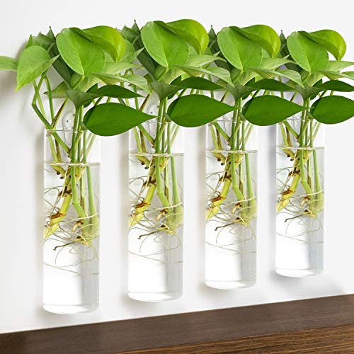 Vumdua Wall Hanging Planters, 4 PCS Glass Planters Hanging Glass T...