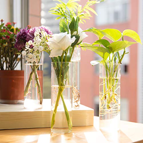 Vumdua Wall Hanging Planters, 4 PCS Glass Planters Hanging Glass T...