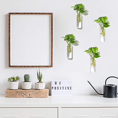 Vumdua Wall Hanging Planters, 4 PCS Glass Planters Hanging Glass T...