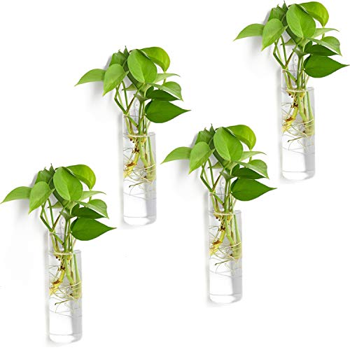 Vumdua Wall Hanging Planters, 4 PCS Glass Planters Hanging Glass T...