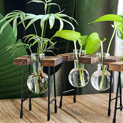 Desktop Plant Terrarium with Wooden Stand, Air Planter Bulb Glass ...