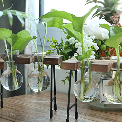Desktop Plant Terrarium with Wooden Stand, Air Planter Bulb Glass ...