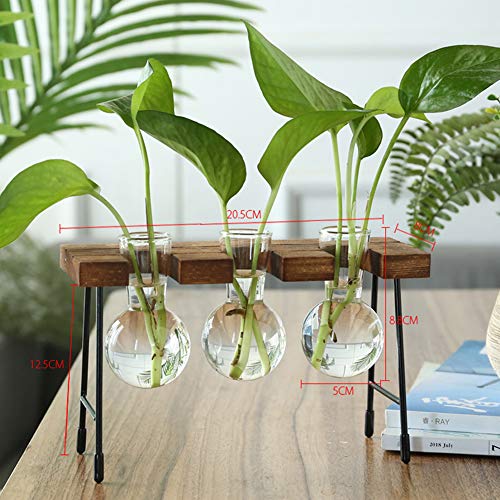 Desktop Plant Terrarium with Wooden Stand, Air Planter Bulb Glass ...