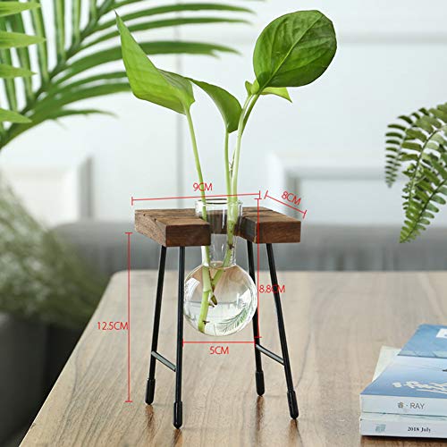Desktop Plant Terrarium with Wooden Stand, Air Planter Bulb Glass ...