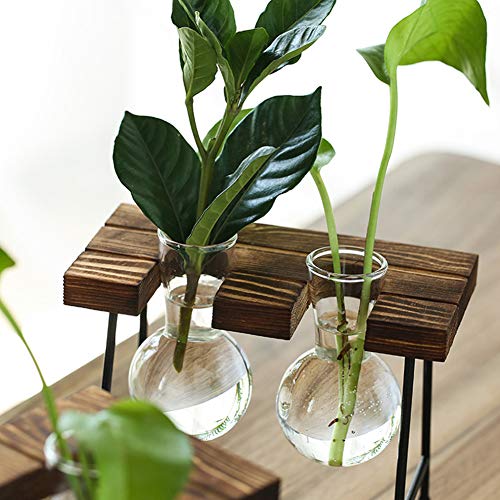 Desktop Plant Terrarium with Wooden Stand, Air Planter Bulb Glass ...