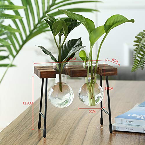 Desktop Plant Terrarium with Wooden Stand, Air Planter Bulb Glass ...
