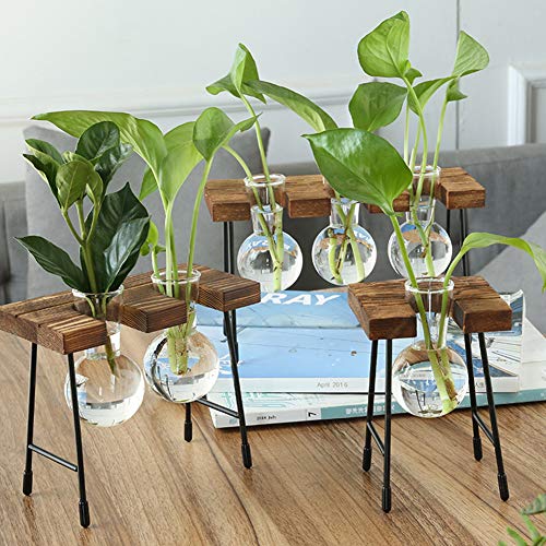 Desktop Plant Terrarium with Wooden Stand, Air Planter Bulb Glass ...